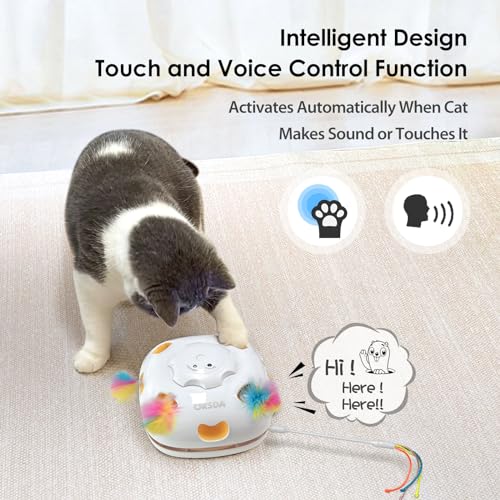 ORSDA Cat Toys Rechargeable, 4in 1 Interactive Automatic Indoor Cats Toy with 8 Holes Mice Whack-A-Mole, Hide and Seek Smart Motion Kitten Toys with 5Pcs DIY Replacement Refills