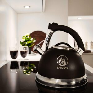 BARVIVO Whistling Tea Kettle - 3 Quart Large Size - Perfect Tea Pots for Stove Top for Preparing Hot Water for Coffee or Tea - Stainless Steel Tea Kettle Water Boiler Suitable for All Stovetops