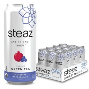 Steaz Organic Lightly Sweetened Iced Green Tea, Blueberry Pomegranate, 16 OZ (Pack of 12)