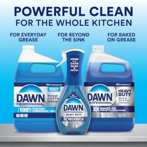 P&G PROFESSIONAL Dishwashing Liquid Soap Detergent,Bulk Degreaser Removes Greasy Foods from Pots,Pans & Dishes in Commercial Restaurant Kitchens, Regular Scent,1 Gallon(Pack of 4)(Packaging May Vary)