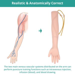 Phlebotomy Practice Kit, IV Practice Arm Venipuncture Practice Kit Phlebotomy Practice Arm