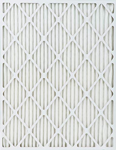 True Blue Allergen 20x25x1 Air Filter , MERV 11, 4-Pack