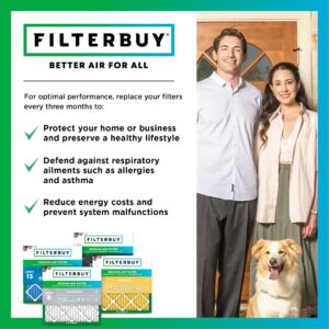 Filterbuy 20x25x1 Air Filter MERV 8 Dust Defense (12-Pack), Pleated HVAC AC Furnace Air Filters Replacement (Actual Size: 19.50 x 24.50 x 0.75 Inches)