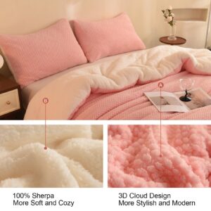 LLanCL 3D Jacquard Design Comforter Set, Ultra-Soft Warm Queen Size Sherpa Fur Plush 3-Pieces Sets Luxury Cozy Bedding with 2 Pillowcases (90"x90", Pink)