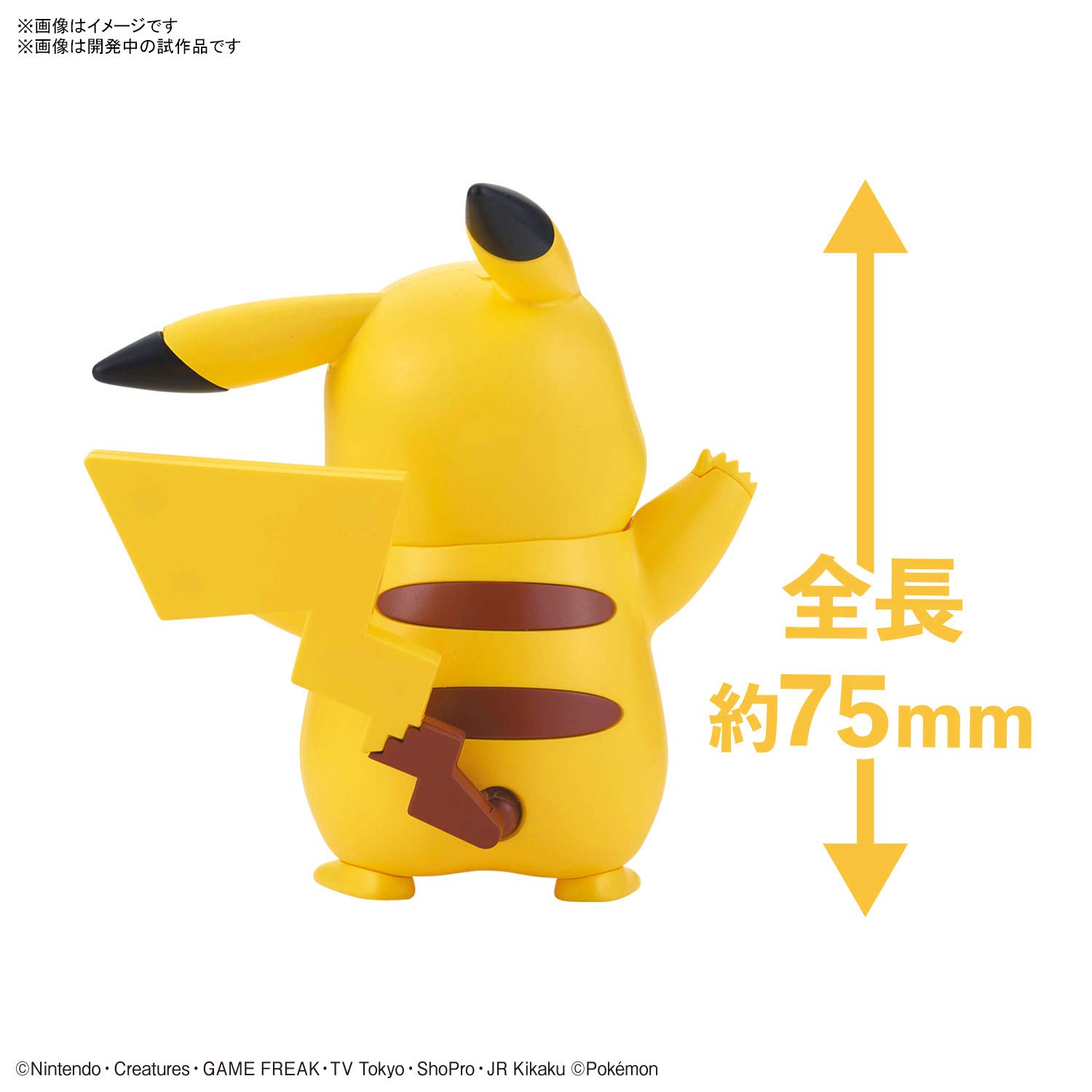 Bandai Hobby - Maquette Pokemon - 01 Pikachu Pokepla 8cm - 4573102607713