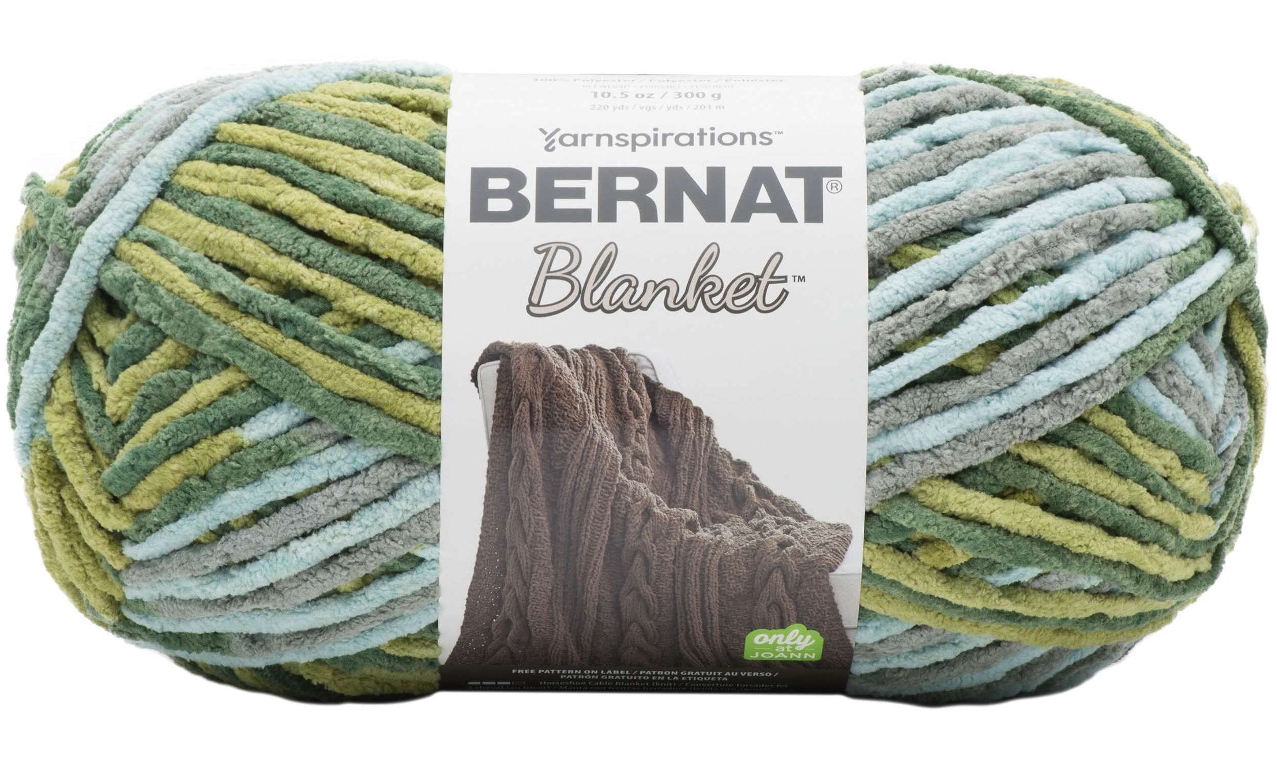 Bernat Blanket Big Ball Forest Sage 161110-10869 (2-Skeins - Same Dye Lot) Weight S Bulky #6 Polyester Yarn for Crocheting and Knitting - Bundle with 1 Artsiga Crafts Project Bag