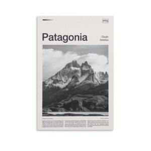 Patagonia Print, Black and White, Patagonia Poster, Patagonia Wall Art, Patagonia Modern Home Decor Canvas Art Poster and Wall Art Picture Print Modern Family Bedroom Decor Posters 16x24inch(40x60cm)