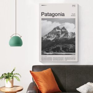 Patagonia Print, Black and White, Patagonia Poster, Patagonia Wall Art, Patagonia Modern Home Decor Canvas Art Poster and Wall Art Picture Print Modern Family Bedroom Decor Posters 16x24inch(40x60cm)