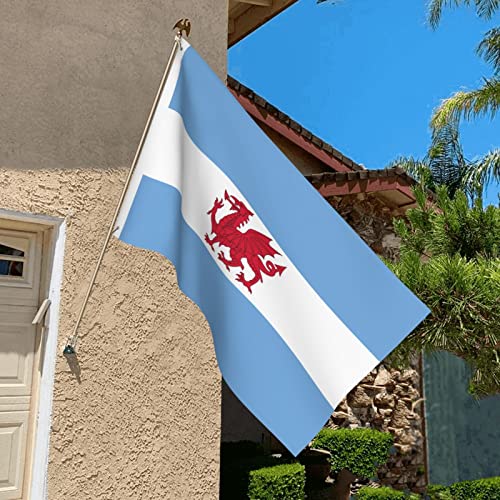 LIFANGMI Double Sided Flag of the Welsh colony in Patagonia Flag 3x5 FT Outdoor Flags Banners Durable Patio Indoor Decorative Flags Home Party Funny Flags 3by5 Flags