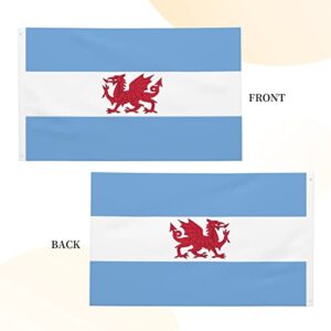 LIFANGMI Double Sided Flag of the Welsh colony in Patagonia Flag 3x5 FT Outdoor Flags Banners Durable Patio Indoor Decorative Flags Home Party Funny Flags 3by5 Flags