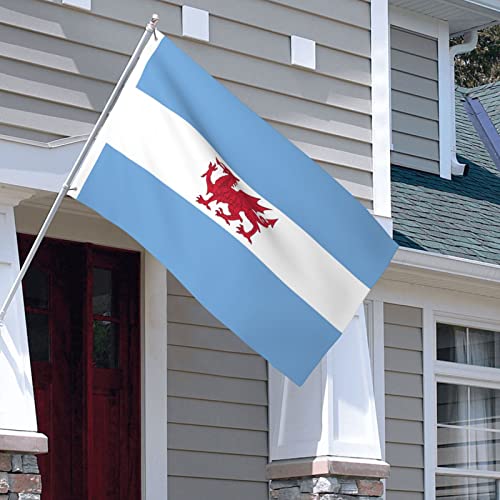 LIFANGMI Double Sided Flag of the Welsh colony in Patagonia Flag 3x5 FT Outdoor Flags Banners Durable Patio Indoor Decorative Flags Home Party Funny Flags 3by5 Flags