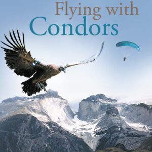 Flying with Condors