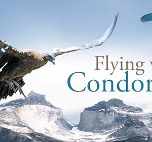 Flying with Condors