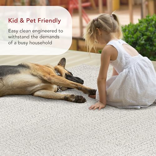 nuLOOM Wynn Braided Indoor/Outdoor Area Rug, 4x6, Ivory