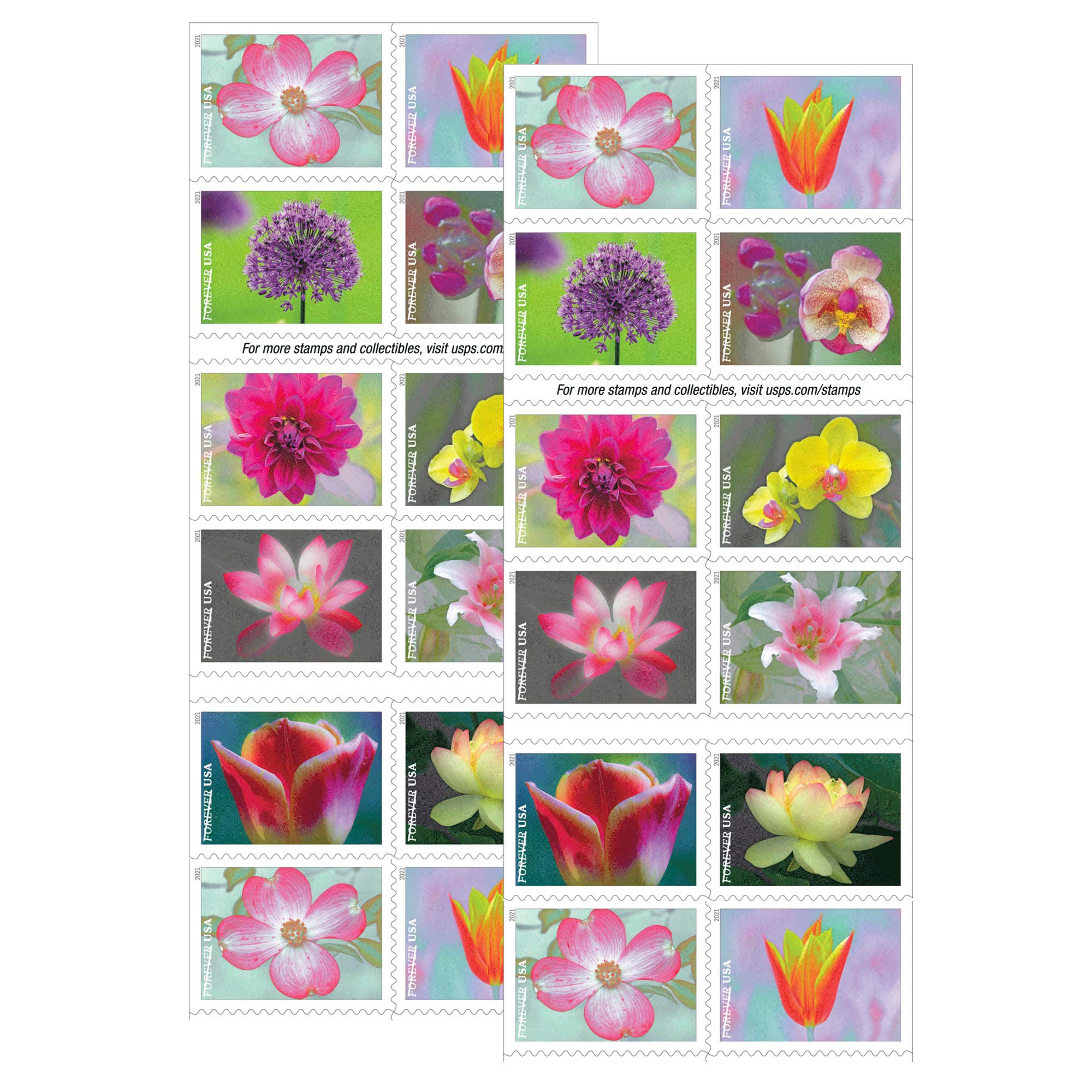 USPS Garden Beauty (2 Booklets of 20) Postage Forever Stamps US Postal First Class Wedding Celebration Anniversary Flowers Party (40 Stamps) 2021 Scott #5558-5567