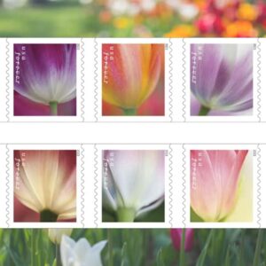 USPS 2023 Tulip Blossoms Forever First Class Postage Stamps (20 Count Strip)