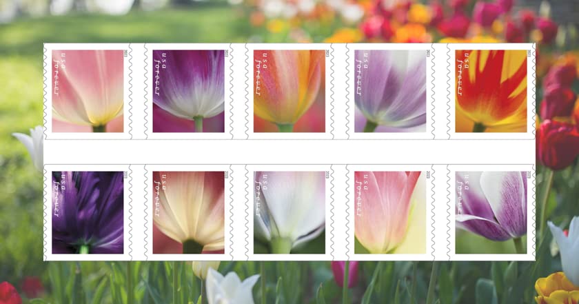 USPS 2023 Tulip Blossoms Forever First Class Postage Stamps (20 Count Strip)