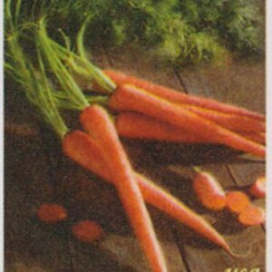 USPS Fruits and Vegetables Forever Stamps Booklet of 20