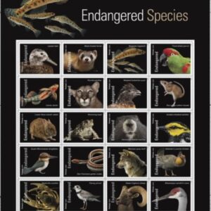 Endangered Species (Sheet of 20) Postage Forever Stamps US Postal First Class Animal Bird Fish Duck Wildlife Habitat Announcement Celebrate Anniversary Wedding 2023 Scott #5800