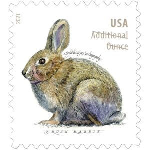 brush rabbit additional ounce forever postage stamps coil of 100 us postal first class wedding celebration anniversary party (100 stamps) use three of these stamps for one ounce letters.