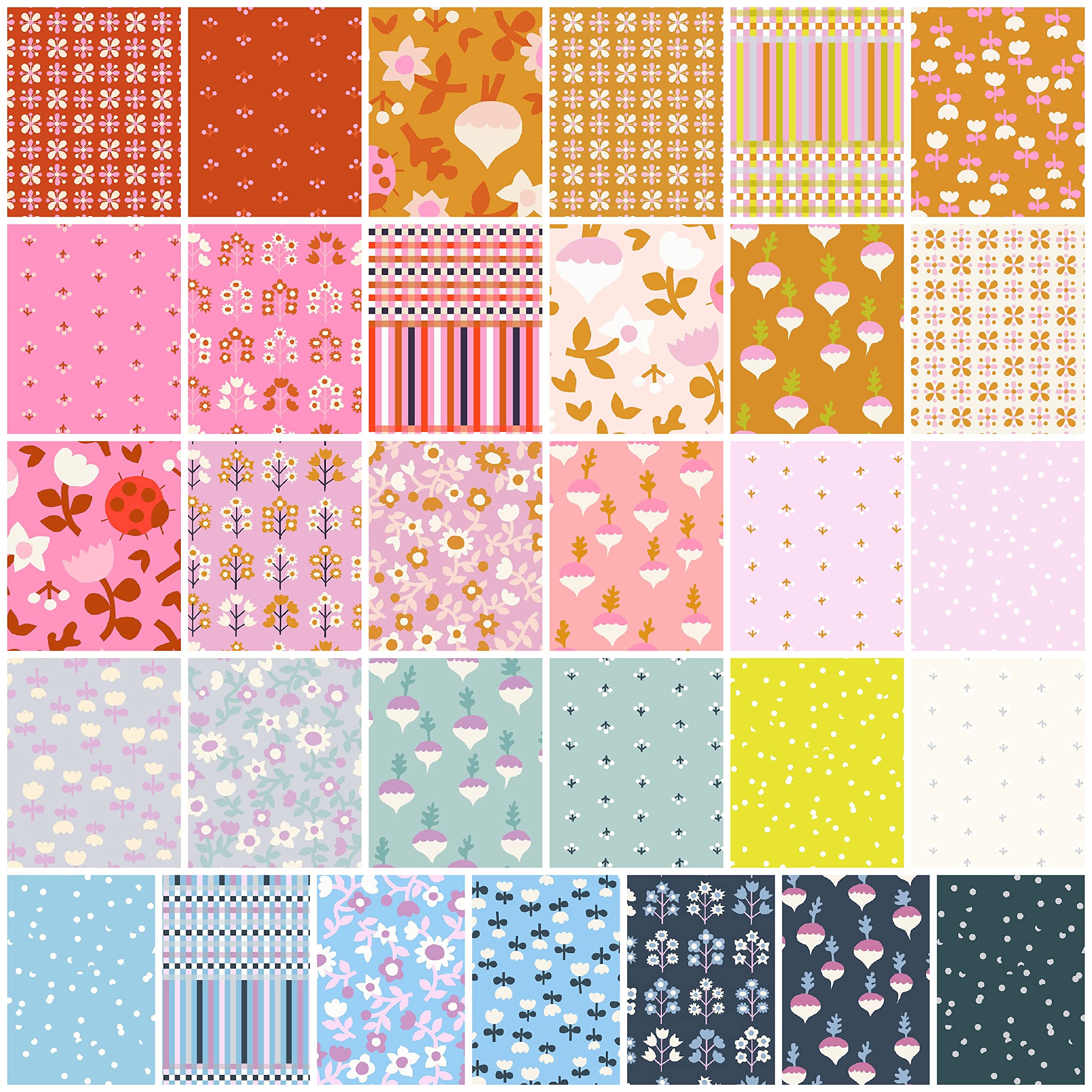 Petunia Jelly Roll (40 Pieces) by Kimberly Kight for Ruby Star Society + Moda 2.5 x 44 inches (6.35 cm x 111.76 cm) Fabric Strips