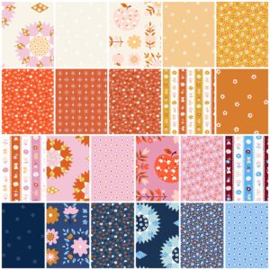 Lil Jelly Roll (40 Pieces) by Kimberly Kight for Ruby Star Society + Moda 2.5 x 44 inches (6.35 cm x 111.76 cm) Fabric Strips