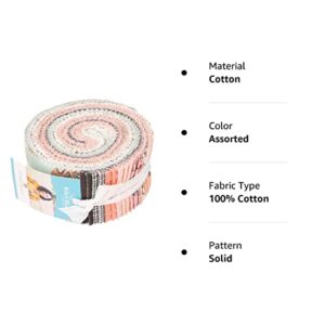 Gabrielle Neil Sleep Tight Rolie Polie 40 2.5-inch Strips Jelly Roll Riley Blake Designs RP-10260-40, Assorted