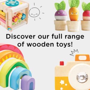 Le Toy Van - Petilou Wooden Walker Toy for Toddlers and Babies | Educational Rainbow Cloud Walker | Suitable for A Boy Or Girl 1 Year Old +, Multi, 45 Blocks (PL102)