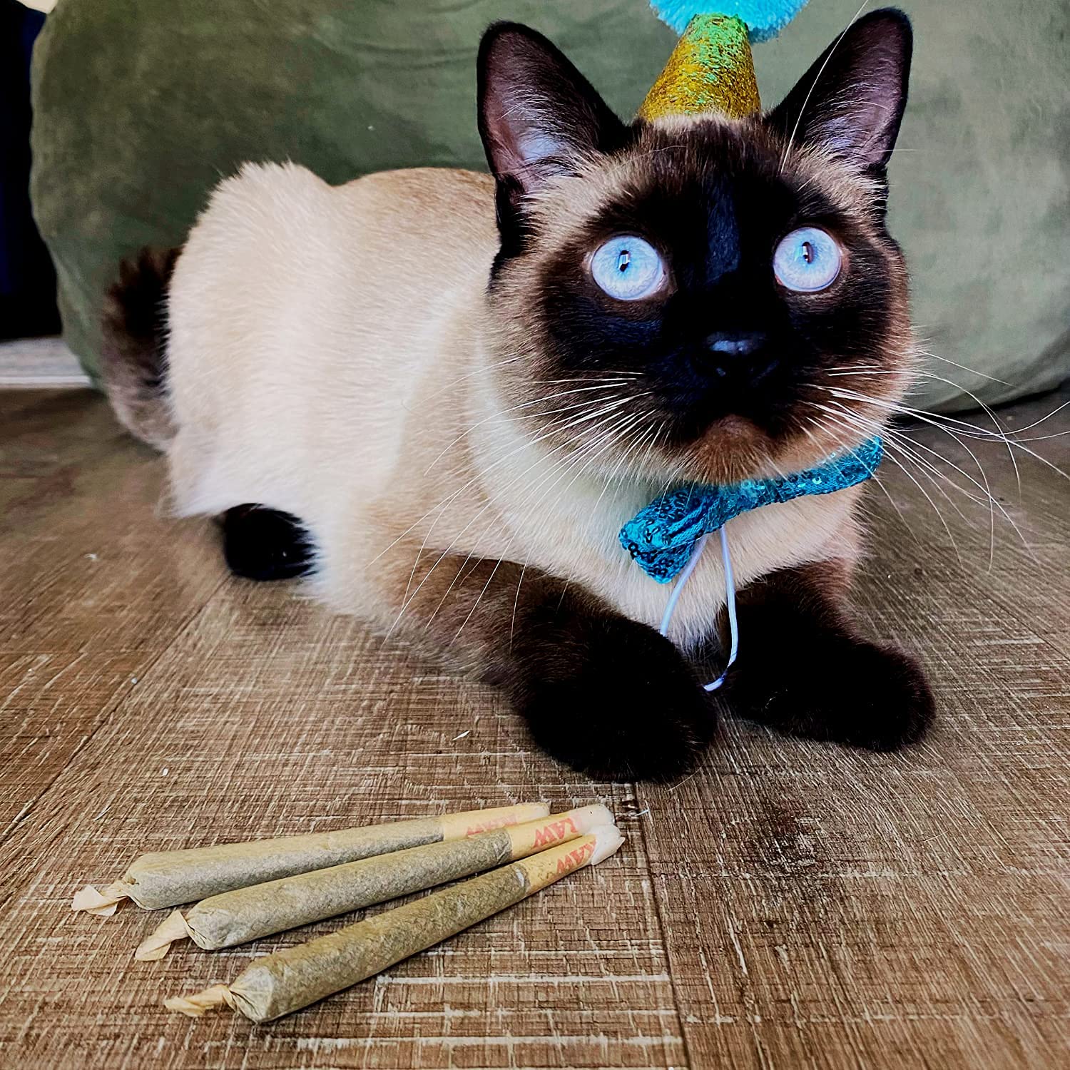 Meowijuana | Get Higher Bundle | Get Higher Kite, King Size Catnip Joints, and Whisker Tickler | Promotes Play and Cat Health | Includes Organic Catnip | Feline and Cat Lover Approved