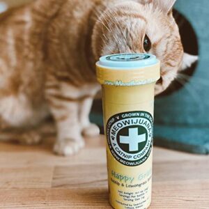 Meowijuana | Radi-Claw Bundle | Jump 'n' Jamb Monkey Door Hanger Toy and Happy Grass Catnip Blend | Promotes Play and Cat Health | Includes Organic Catnip