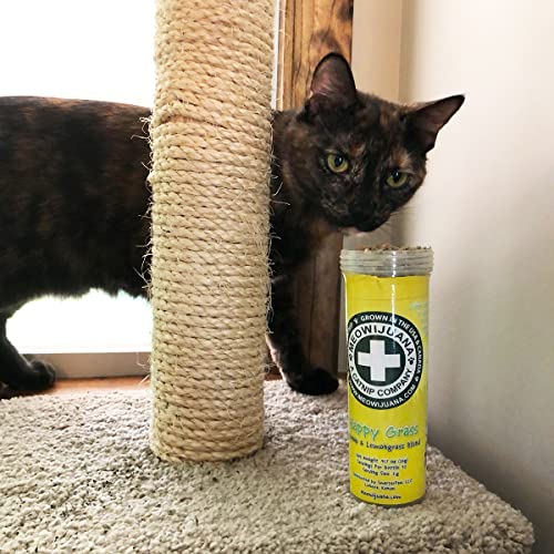 Meowijuana | Radi-Claw Bundle | Jump 'n' Jamb Monkey Door Hanger Toy and Happy Grass Catnip Blend | Promotes Play and Cat Health | Includes Organic Catnip