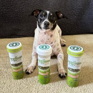 Doggijuana | Juananip™ Refill | Premium Organic Ground Catnip for Dogs | All Natural | Grown in The USA (Juananip 2 Pack)