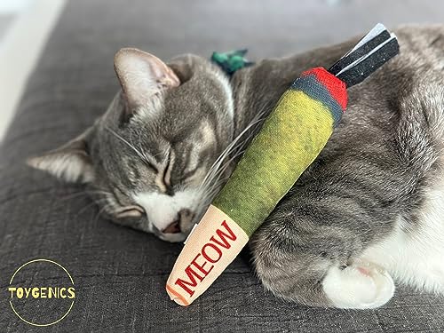 TOYGENICS - Doobie Catnip Toys for Indoor Cats w/Crinkly, Durable Material & Interactive String Ends for Cat Enrichment & Cat Teeth Cleaning, The Best-Kitten Toys-Cat Toys-Catnip Toy