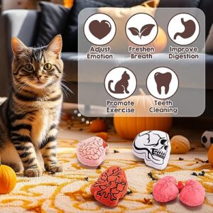 Petsinurarea Anatomical Catnip Toys Halloween Cat Toys Heart Brain Chew Bite Resistant Toys for Cats Boredom Relief Teeth Cleaning Interactive Cat Toys Catnip Filled Christmas Cat Lover Gift Set of 4