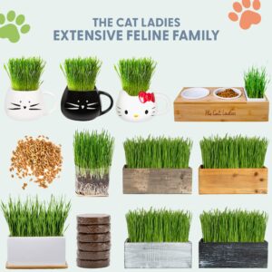 The Cat Ladies Organic Cat Grass for Indoor Cats - Growing Kit with Organic Seed Mix, Soil and White Cat Planter. Natural Hairball Control and Digestion Remedy, Cat Gifts