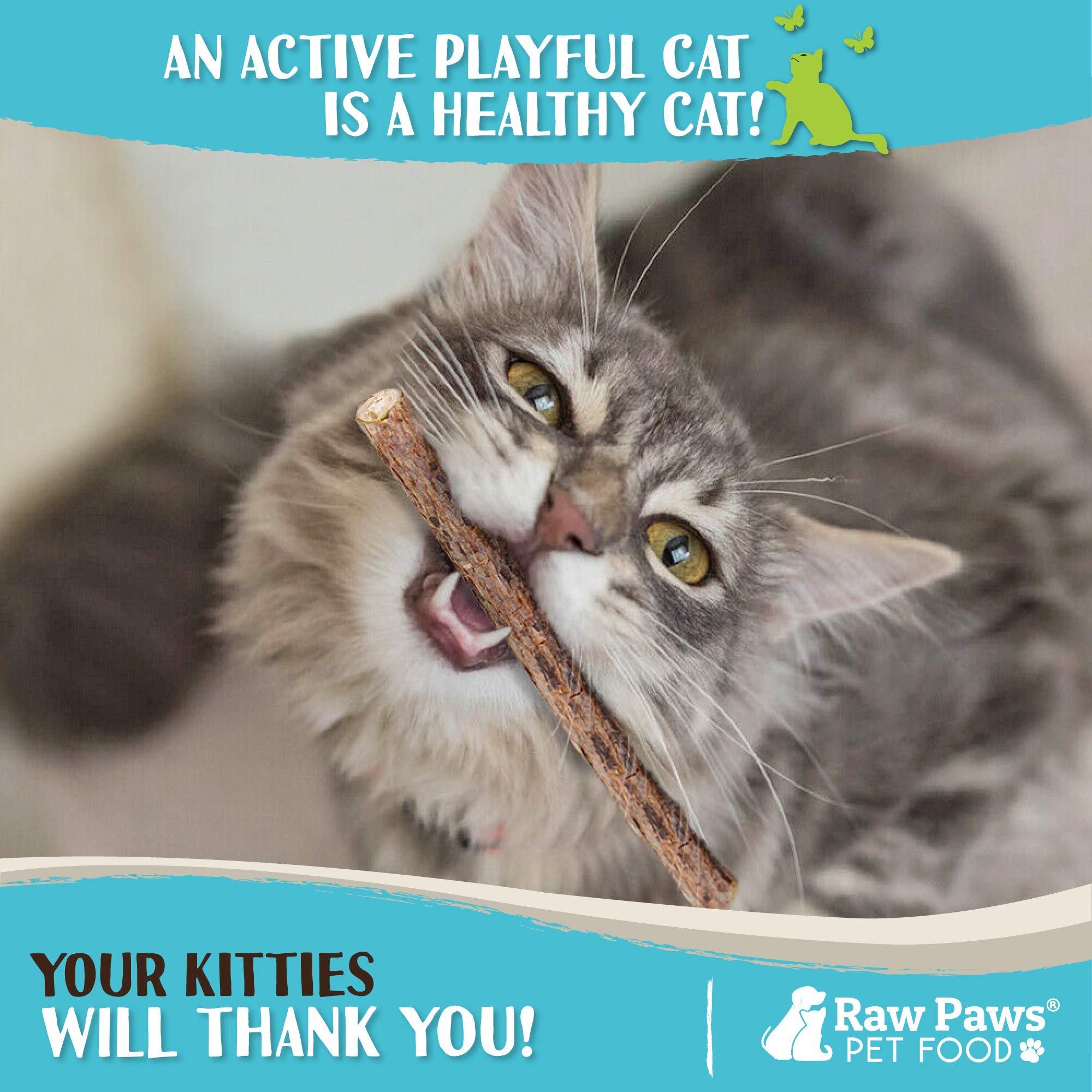 Raw Paws Silvervine for Cats (30-ct) - Silvervine Cat Toys for Indoor Cats - Catnip Sticks - Matatabi Cat Chew Stick - Silvervine Sticks for Cats, Silver Vine Sticks Cat Kicker Toy, Cat Toy Silvervine