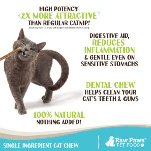 Raw Paws Silvervine for Cats (30-ct) - Silvervine Cat Toys for Indoor Cats - Catnip Sticks - Matatabi Cat Chew Stick - Silvervine Sticks for Cats, Silver Vine Sticks Cat Kicker Toy, Cat Toy Silvervine