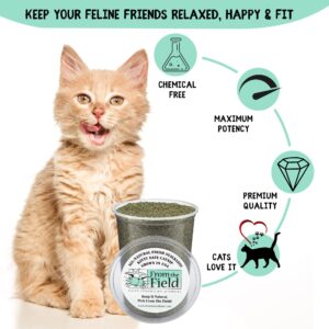 From The Field 6-Ounce Catnip Kitty Safe Stalkless Tub