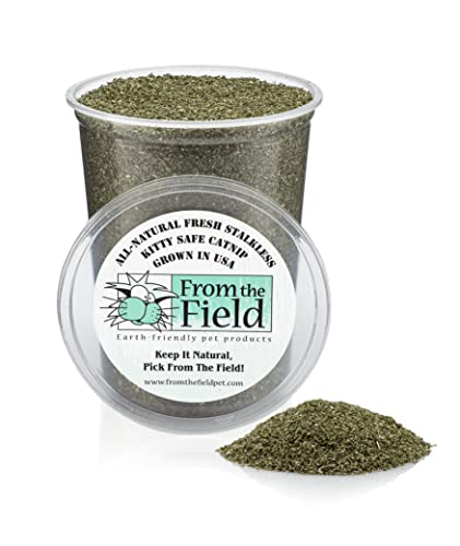 From The Field 6-Ounce Catnip Kitty Safe Stalkless Tub