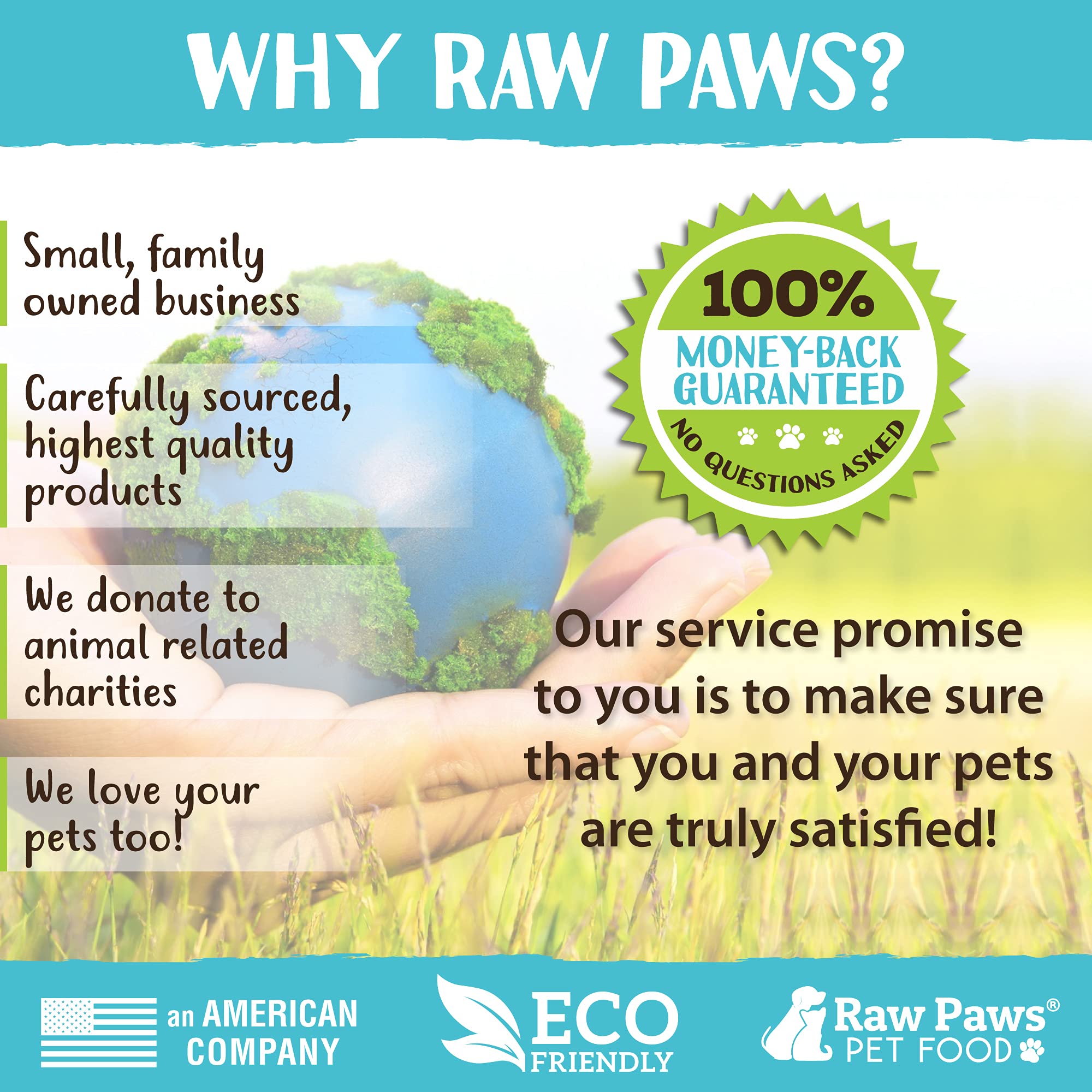 Raw Paws Silvervine Powder, 75 Grams - 2X More Attractive than Catnip for Cats, 100% Silver Vine Gall Fruit Powder, Matatabi Silvervine Cat Toy for Indoor Cats, Catnip Kitten Toys, Silvervine for Cats