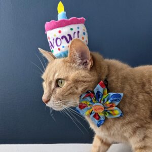 Huxley & Kent Cat Toy | Mewow Cake | Birthday Strong Catnip Filled Cat Toy | Soft Plush Kitty Toy with Catnip and Crinkle | Kittybelles