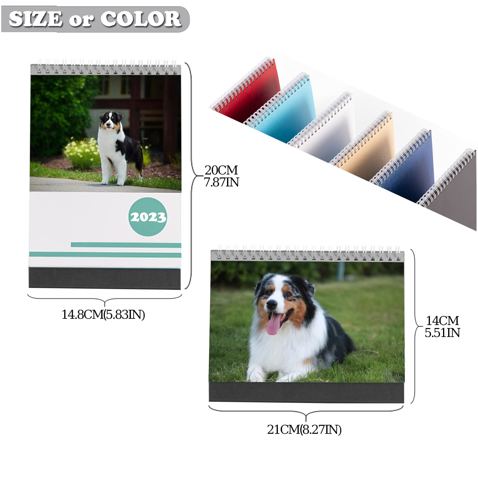 Personalized Desk Custom Calendar 2024 Personalized Calendar with Your Photo/Pet Photo, 13 Pictures Calendar DIY Gifts for School, Office, Home,Wedding Gift