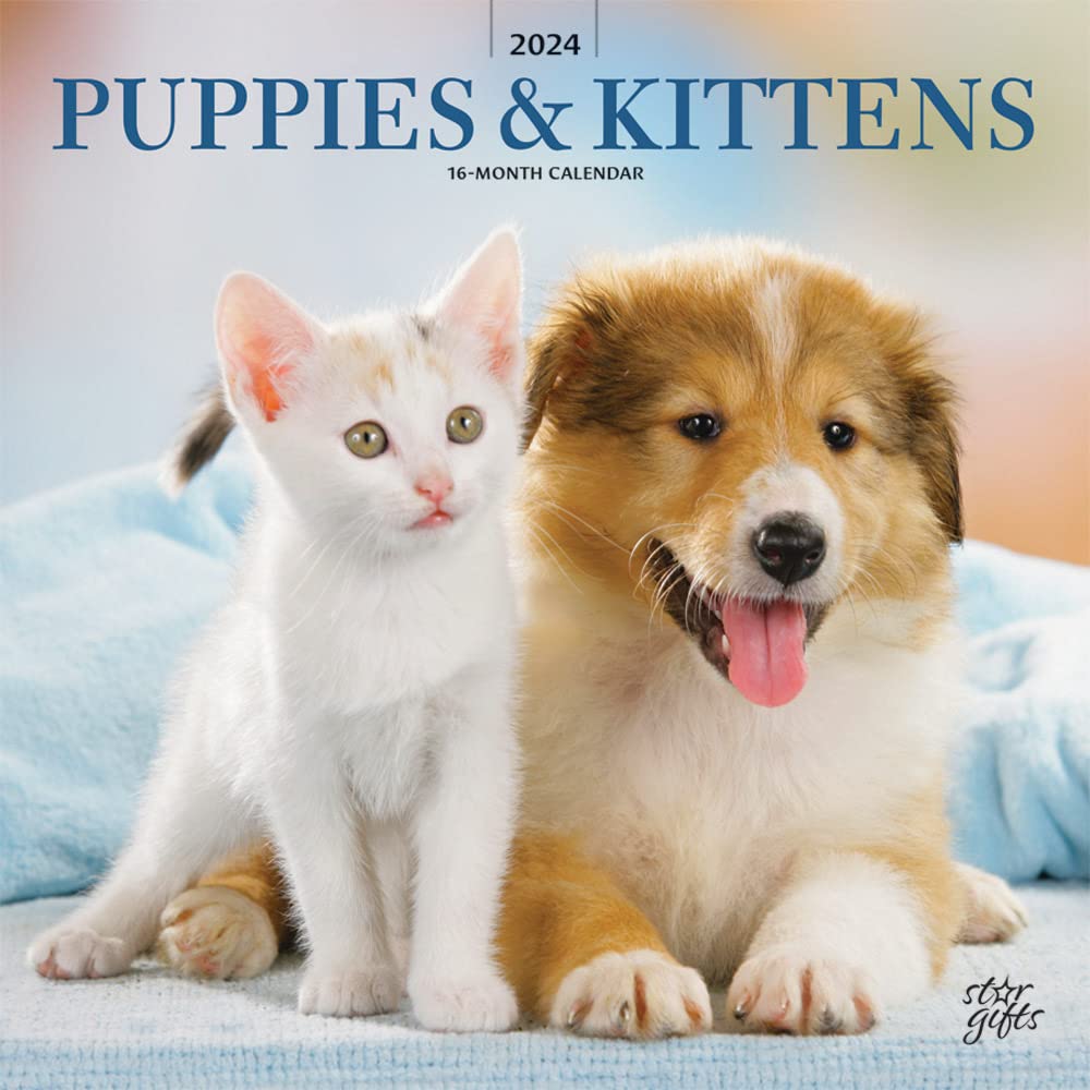 Puppies & Kittens | 2024 12 x 24 Inch Monthly Square Wall Calendar | Sticker Sheet | StarGifts | Animals Cute Kitten Pets