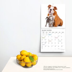 Puppies & Kittens | 2024 12 x 24 Inch Monthly Square Wall Calendar | Sticker Sheet | StarGifts | Animals Cute Kitten Pets