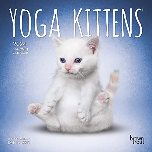 Yoga Kittens OFFICIAL | 2024 7 x 14 Inch Monthly Mini Wall Calendar | BrownTrout | Animals Humor Cats Feline