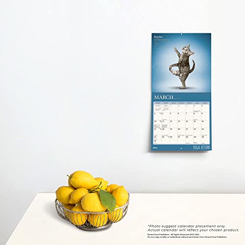 Yoga Kittens OFFICIAL | 2024 7 x 14 Inch Monthly Mini Wall Calendar | BrownTrout | Animals Humor Cats Feline