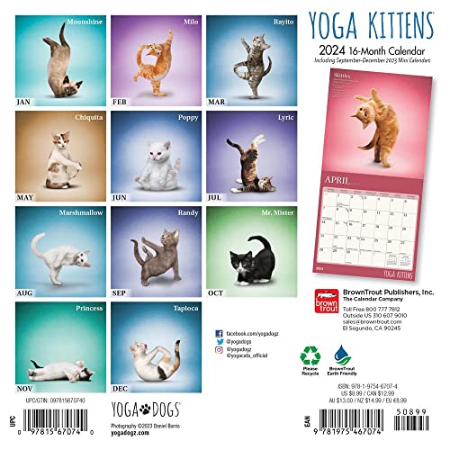 Yoga Kittens OFFICIAL | 2024 7 x 14 Inch Monthly Mini Wall Calendar | BrownTrout | Animals Humor Cats Feline