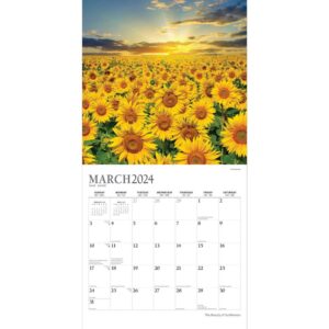 The Beauty of Sunflowers | 2024 12 x 24 Inch Monthly Square Wall Calendar | Sticker Sheet | StarGifts | Flower Floral Plant Outdoor Nature