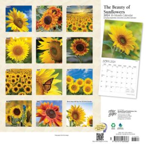 The Beauty of Sunflowers | 2024 12 x 24 Inch Monthly Square Wall Calendar | Sticker Sheet | StarGifts | Flower Floral Plant Outdoor Nature