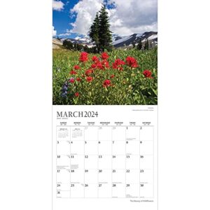 The Beauty of Wildflowers | 2024 12 x 24 Inch Monthly Square Wall Calendar | Sticker Sheet | StarGifts | Outdoor Plant Floral